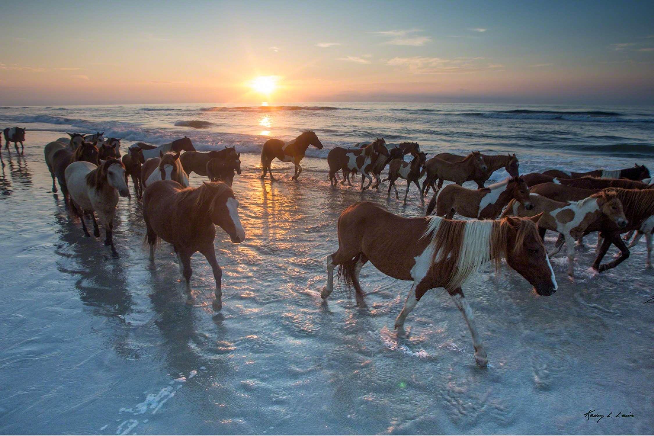 Hampton Inn & Suites Chincoteague-Waterfront, Va Dış mekan fotoğraf