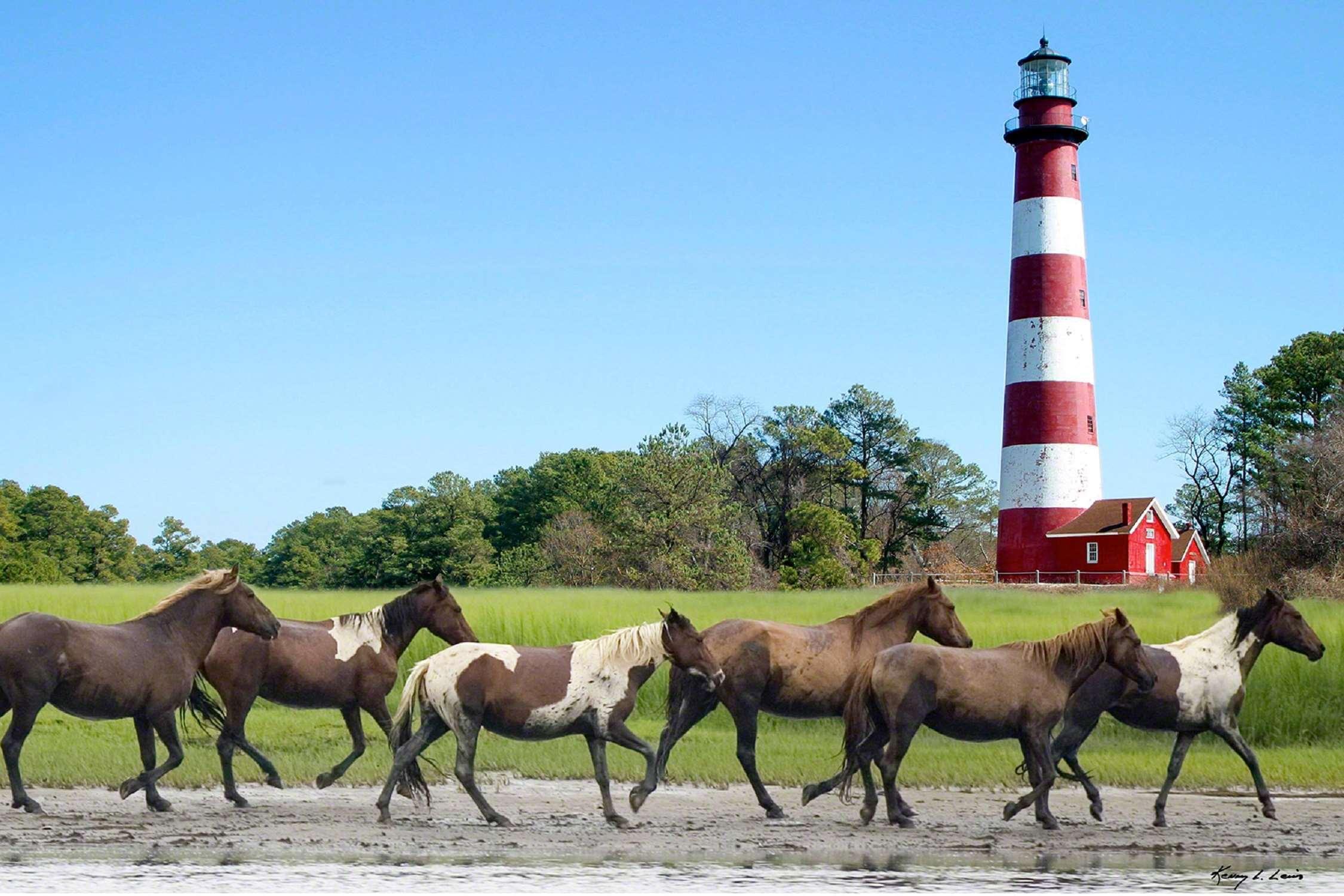 Hampton Inn & Suites Chincoteague-Waterfront, Va Dış mekan fotoğraf